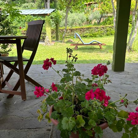 Casa Verde Country House Montescudaio Eksteriør billede