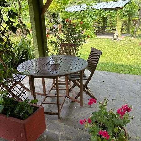 Casa Verde Country House Montescudaio Eksteriør billede