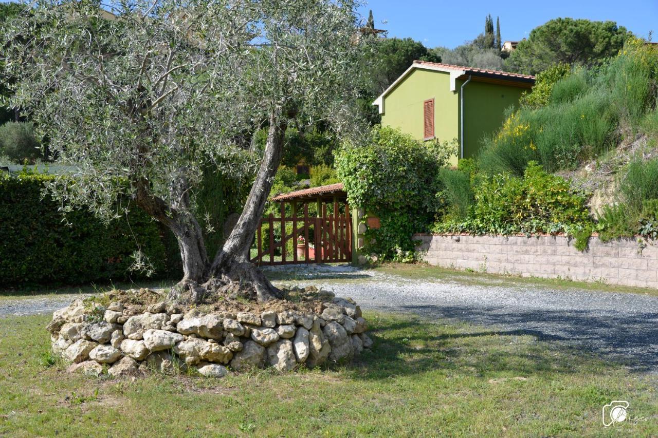 Casa Verde Country House Montescudaio Eksteriør billede