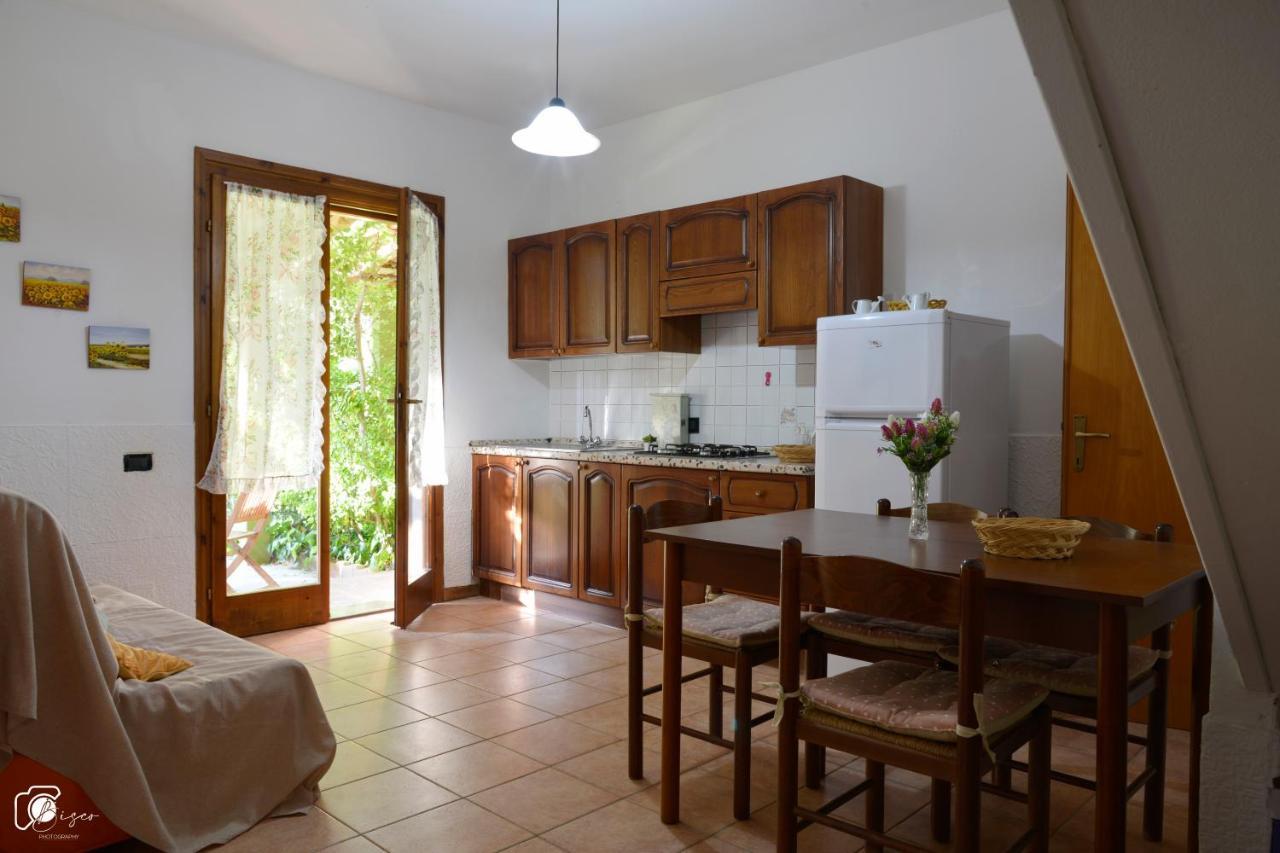 Casa Verde Country House Montescudaio Eksteriør billede