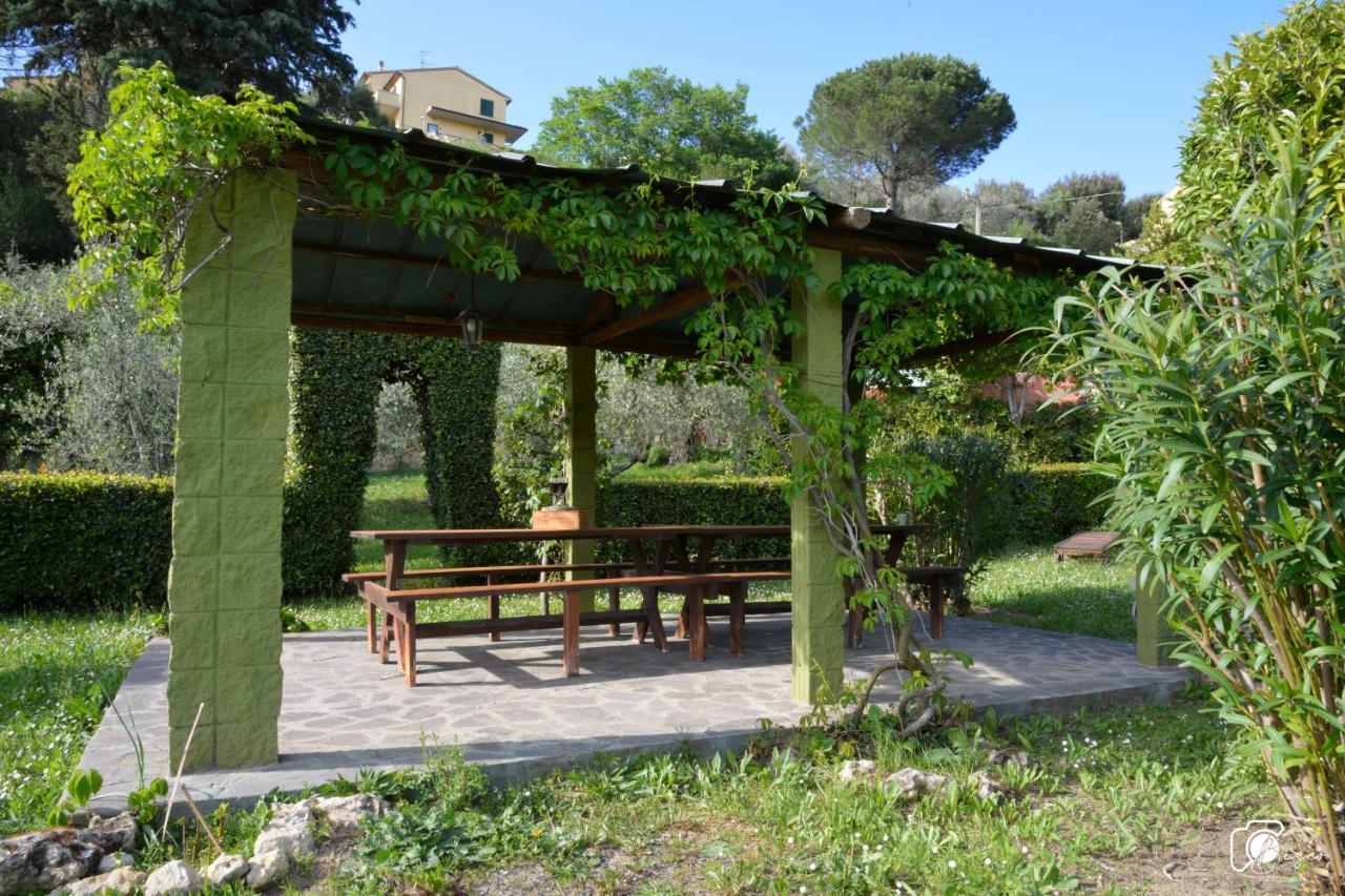 Casa Verde Country House Montescudaio Eksteriør billede