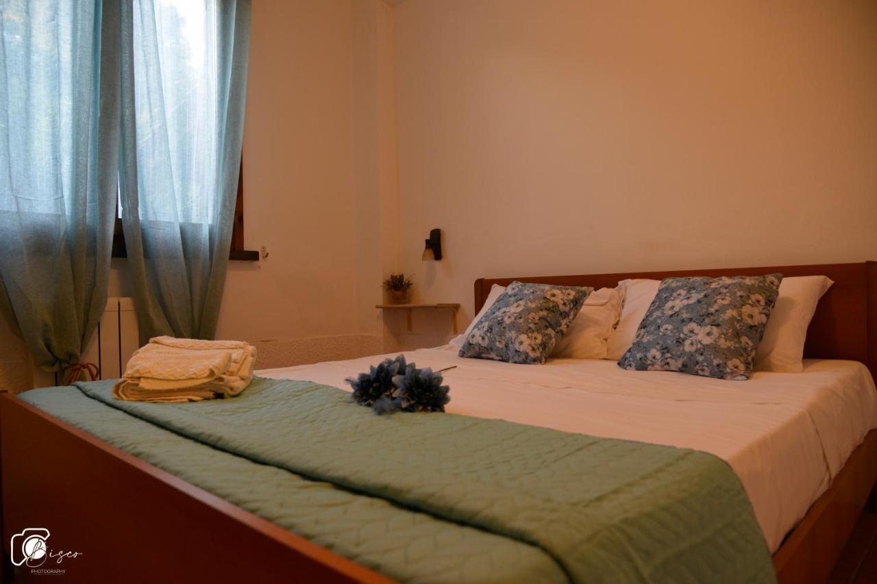 Casa Verde Country House Montescudaio Eksteriør billede