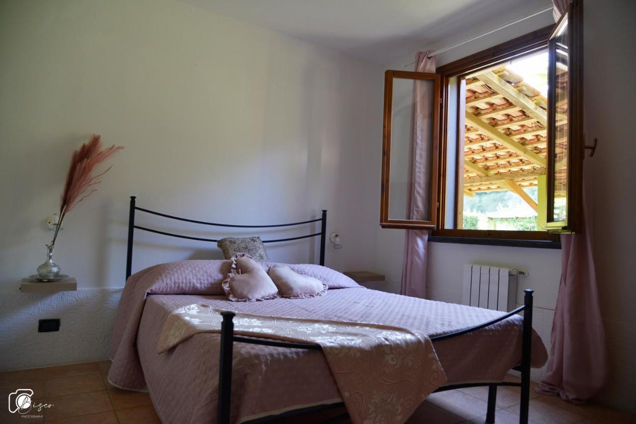 Casa Verde Country House Montescudaio Eksteriør billede