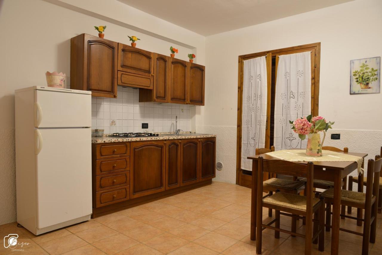 Casa Verde Country House Montescudaio Eksteriør billede