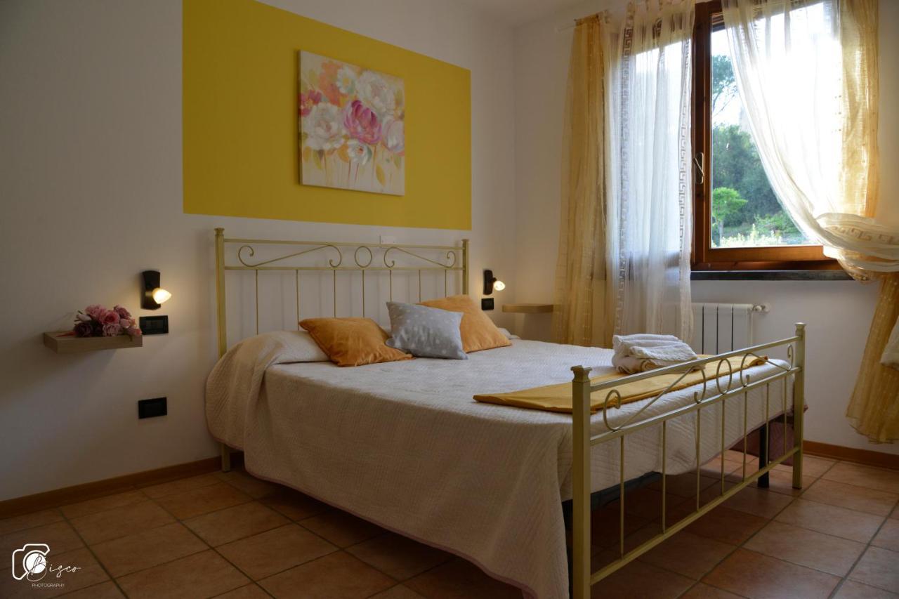 Casa Verde Country House Montescudaio Eksteriør billede