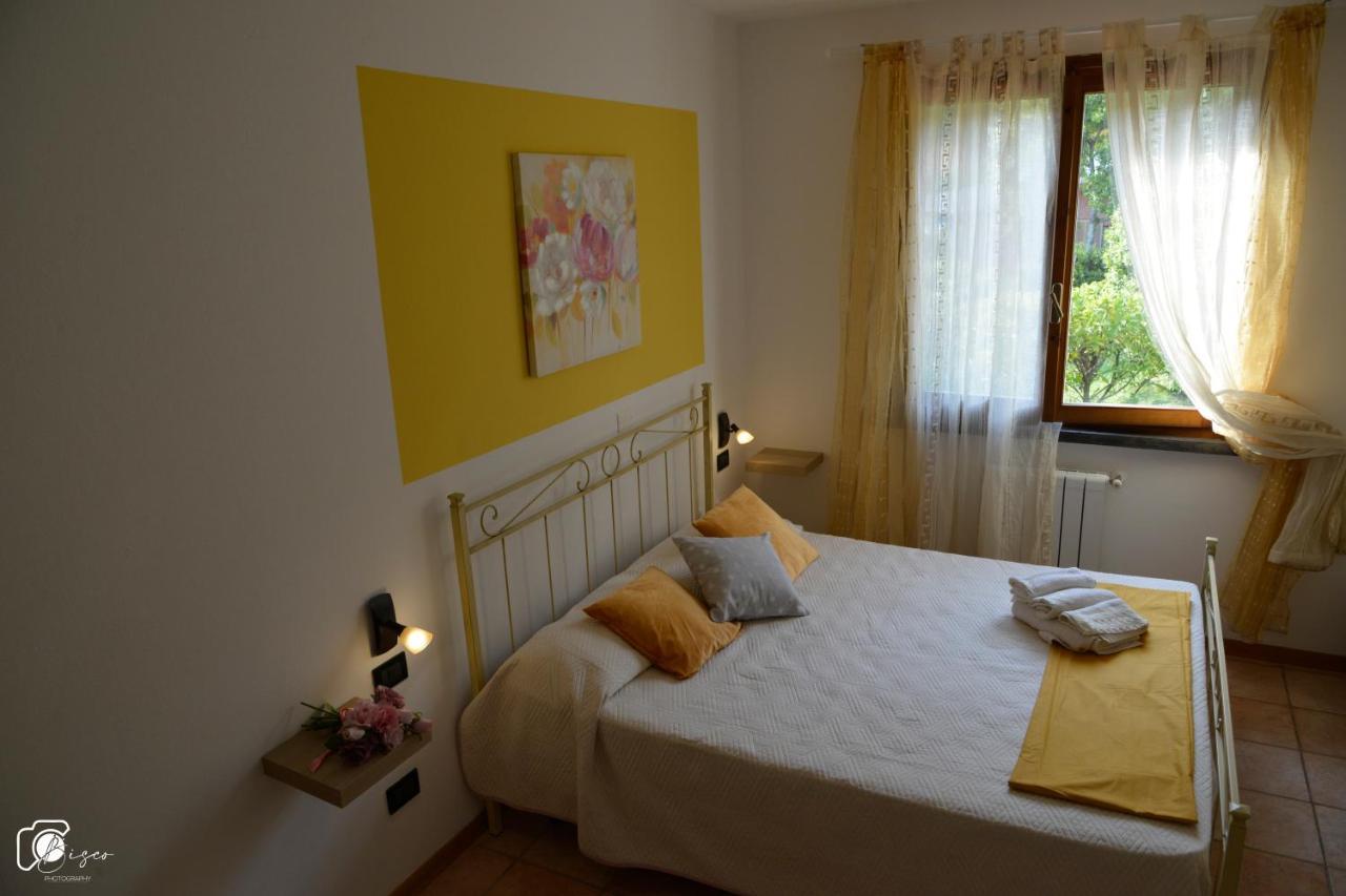 Casa Verde Country House Montescudaio Eksteriør billede