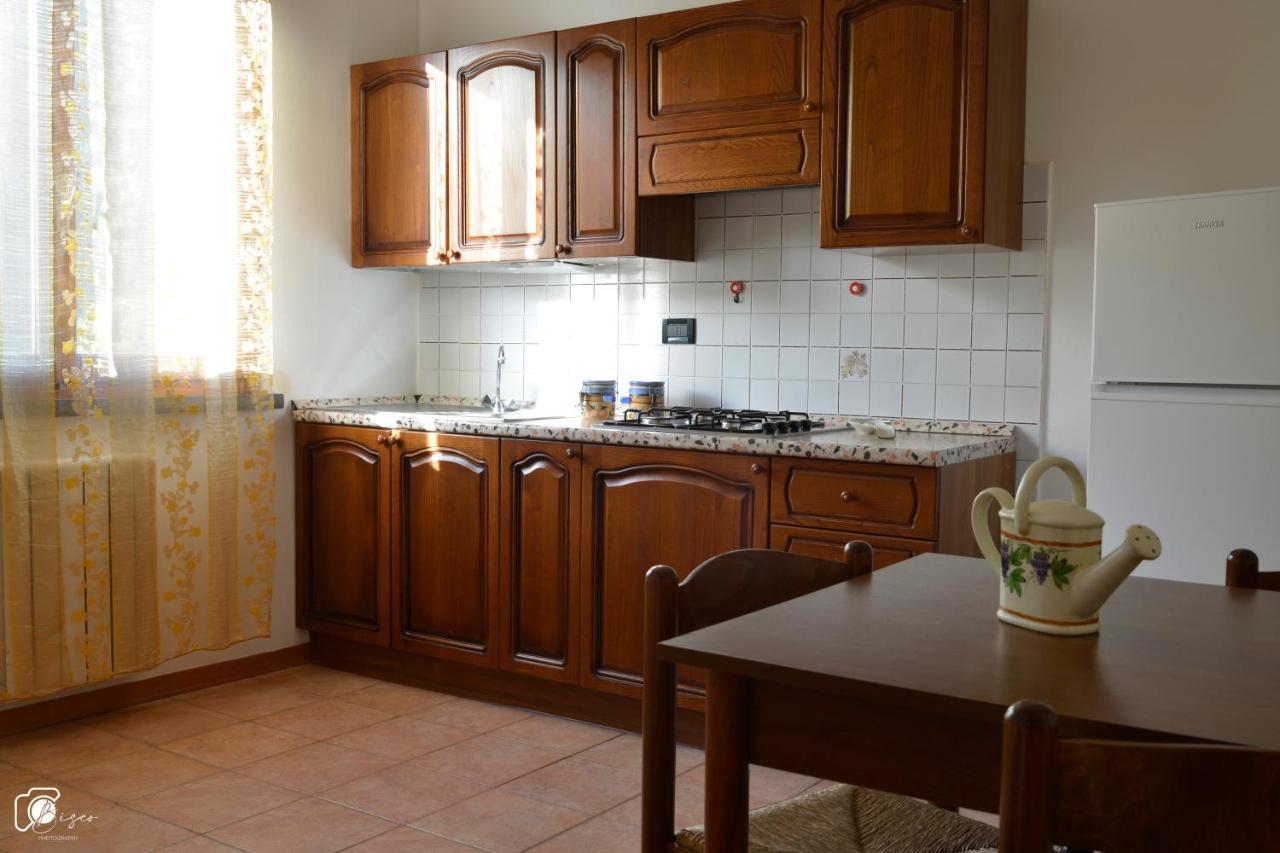 Casa Verde Country House Montescudaio Eksteriør billede
