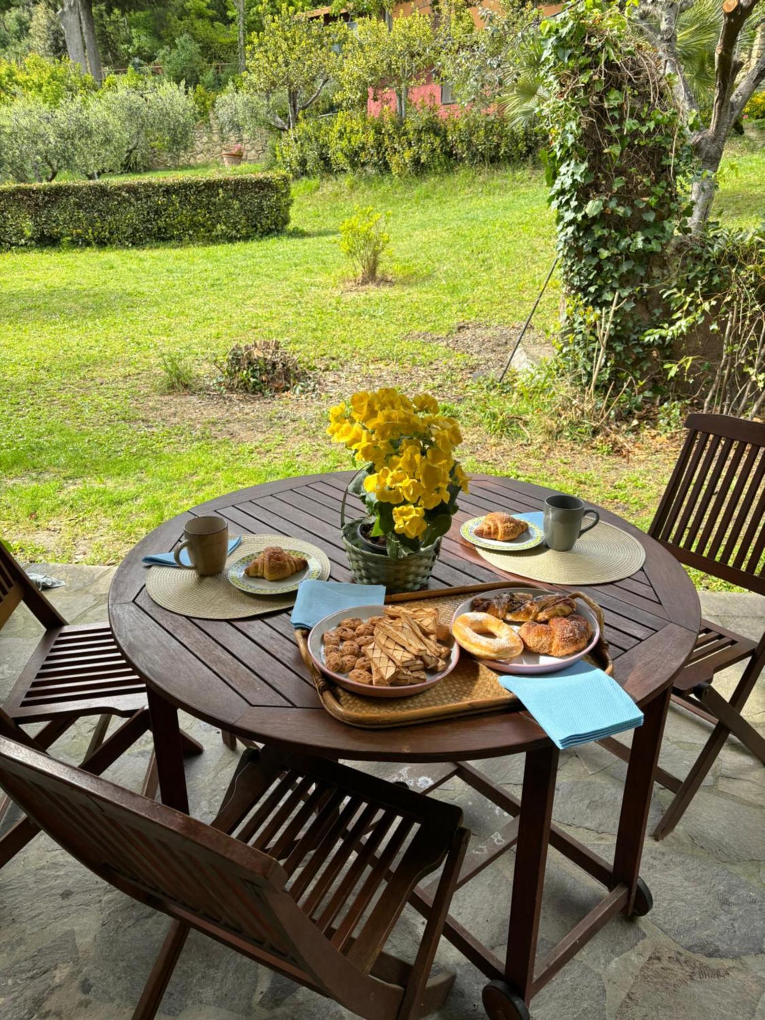 Casa Verde Country House Montescudaio Eksteriør billede