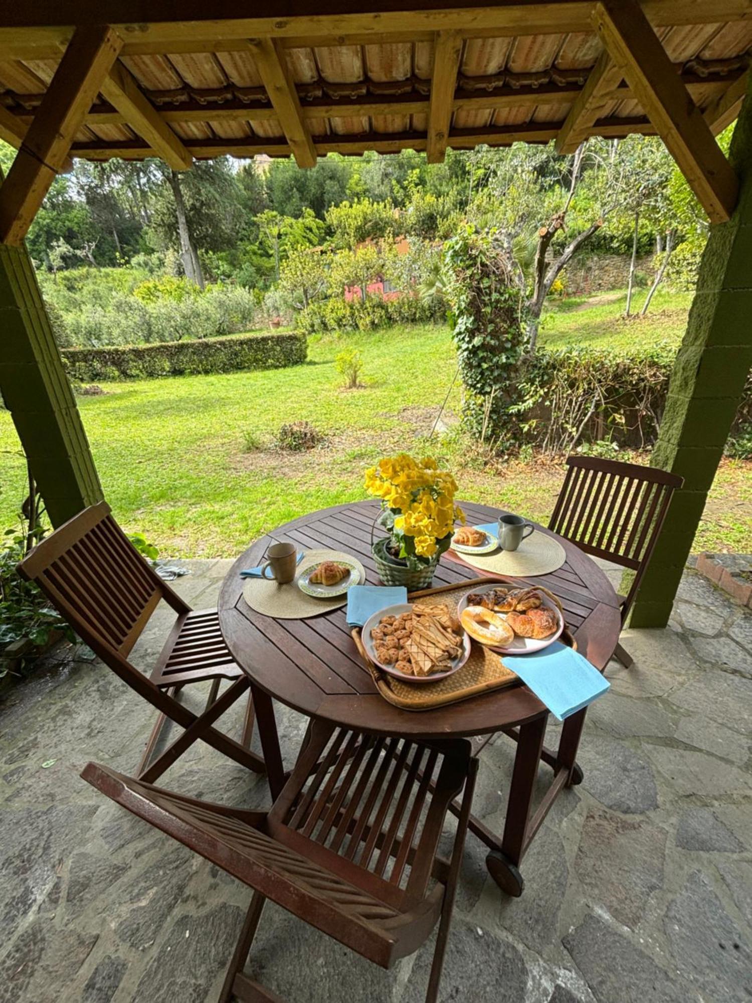 Casa Verde Country House Montescudaio Eksteriør billede
