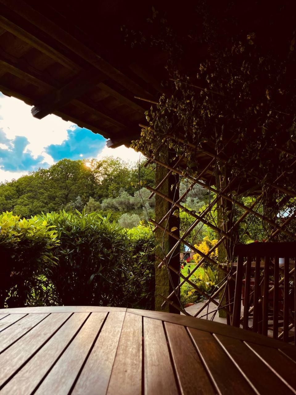 Casa Verde Country House Montescudaio Eksteriør billede