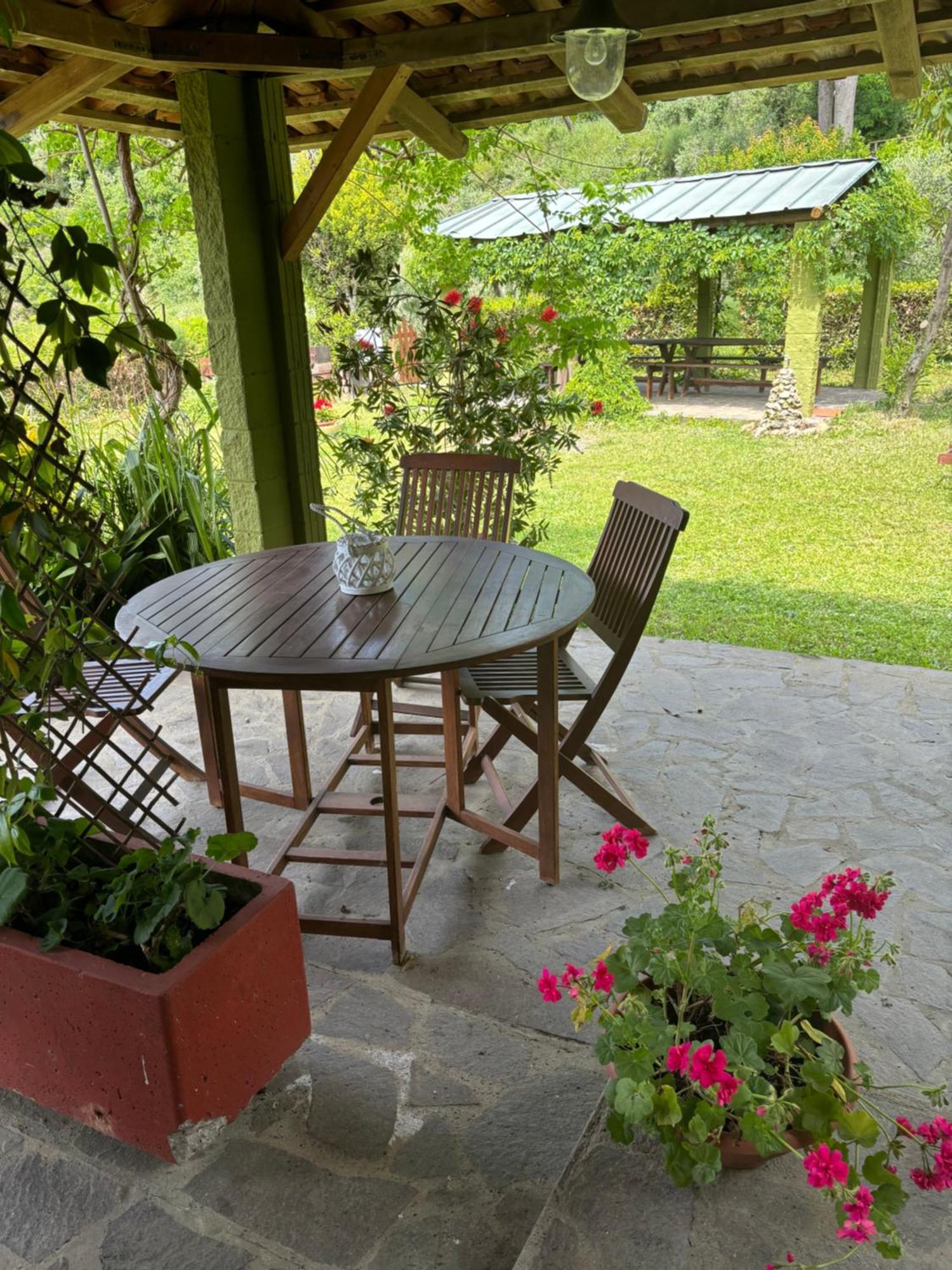 Casa Verde Country House Montescudaio Eksteriør billede